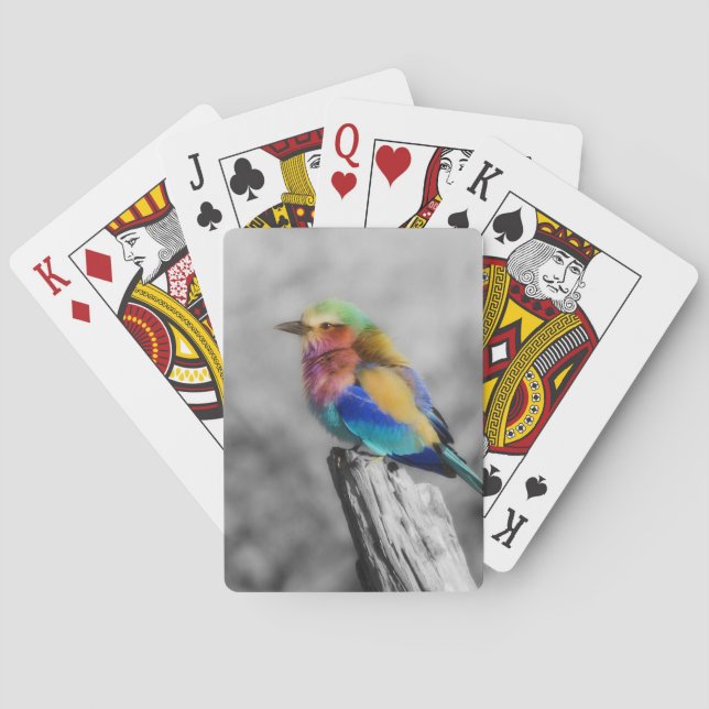 Jeu De Cartes Oiseau d'arc-en-ciel (dos)
