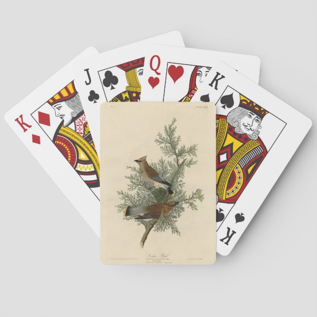 Jeu De Cartes Oiseau de cèdre, Cèdre, cire Audubon Oiseaux d'Amé (dos)