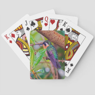 Jeu De Cartes Oiseau du Costa Rica - Colibri à gorge enflammée