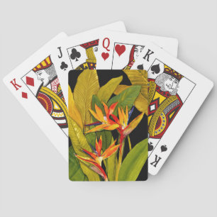 Jeu De Cartes Oiseau du Paradis