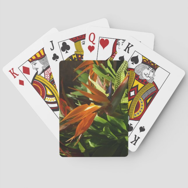 Jeu De Cartes Oiseau du Paradis - Image de la fleur (dos)