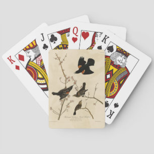Jeu De Cartes Oiseau noir à ailes rouges - Oiseaux d'Amérique d'