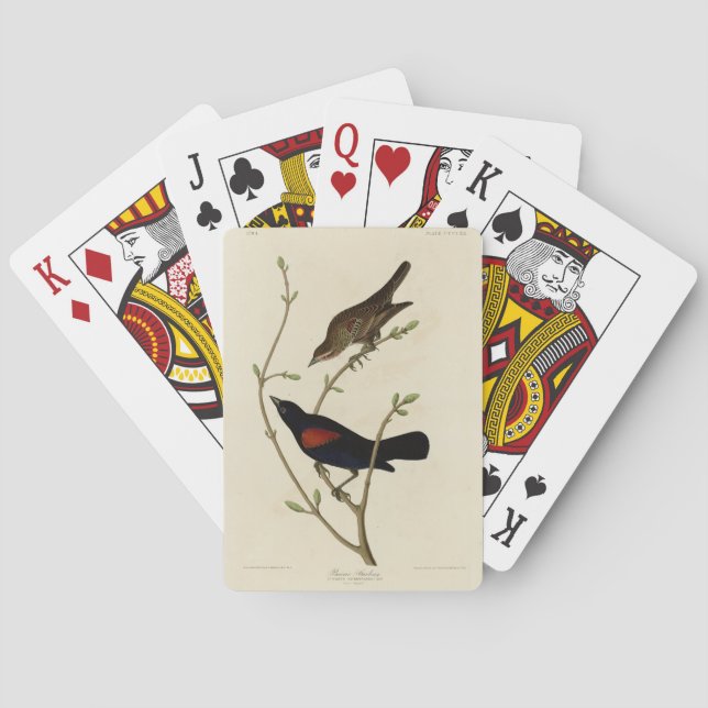 Jeu De Cartes Oiseau noir à ailes rouges - Oiseaux d'Amérique d' (dos)