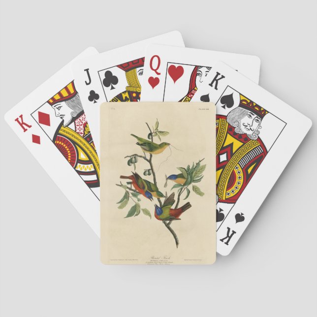 Jeu De Cartes Oiseaux d'Amérique d'Audubon (dos)
