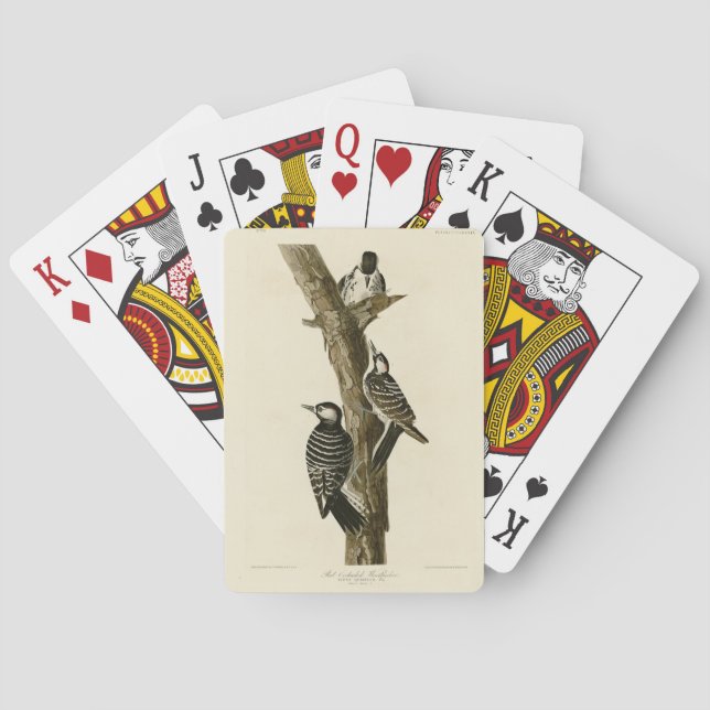 Jeu De Cartes Oiseaux d'Amérique du pic-rouge Audubon (dos)