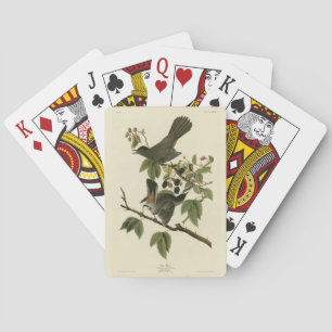 Jeu De Cartes Oiseaux de chats (Colibri gris) Oiseaux d'Amérique