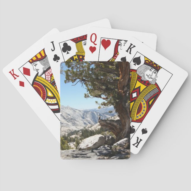 Jeu De Cartes Old Tree at Yosemite National Park (dos)