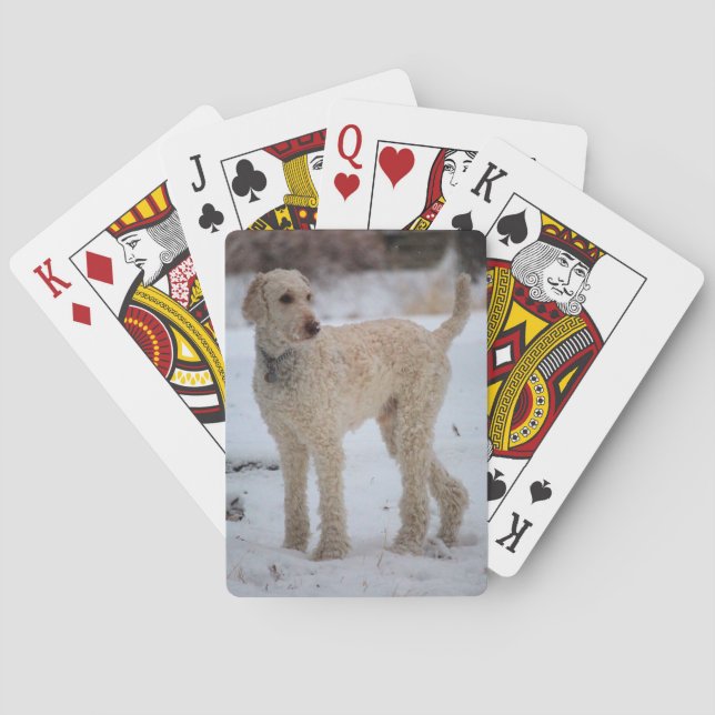 Jeu De Cartes Ollie (dos)