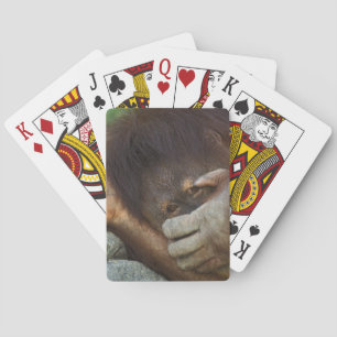 Jeu De Cartes Orang-outan de Sumatra, Pongo pygmaeus