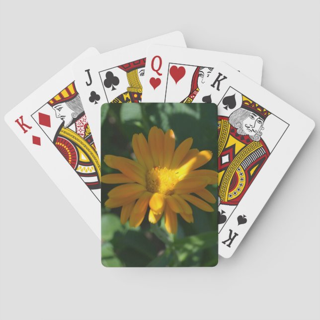Jeu De Cartes Orange Pot Marigold Flower (Calendula officinalis) (dos)