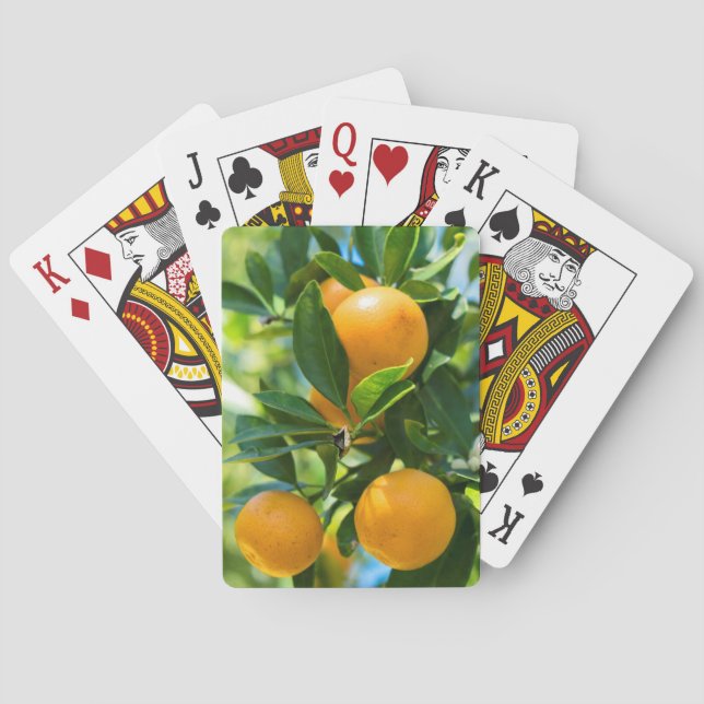 Jeu De Cartes Oranger en fruits (dos)