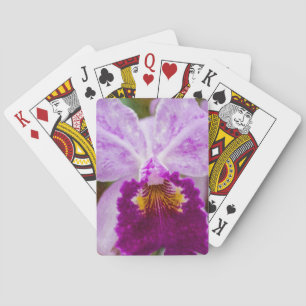 Jeu De Cartes Orchidée mauve de passion