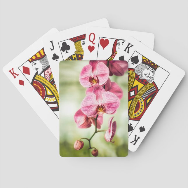 Jeu De Cartes Orchidée rose (dos)