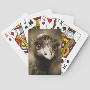 Jeu De Cartes Ostriches Regardez les cartes