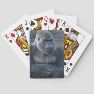 Jeu De Cartes Oumbi siconique