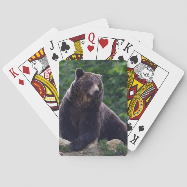 Jeu De Cartes Ours Brown (dos)