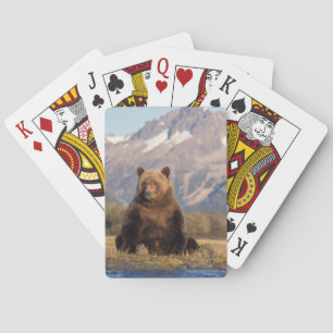 Jeu De Cartes ours brun, Ursus arctos, grizzli, Ursus