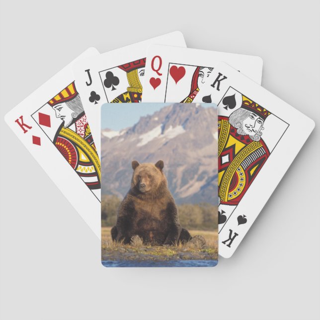 Jeu De Cartes ours brun, Ursus arctos, grizzli, Ursus (dos)