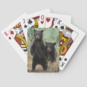 Jeu De Cartes ours brun, Ursus arctos, grizzly, Ursus 7 2