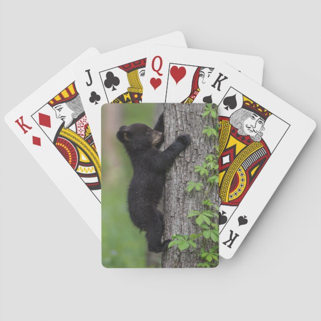 Jeu De Cartes Ours en peluche grimpant à un arbre (dos)