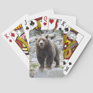Jeu De Cartes Ours kodiak