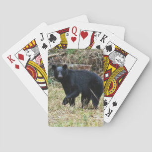 Jeu De Cartes Ours noir de Floride