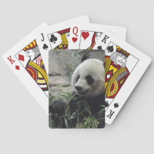 Jeu De Cartes Ours panda chinois géant