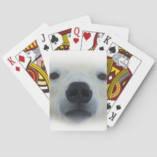 Jeu De Cartes Ours polaire