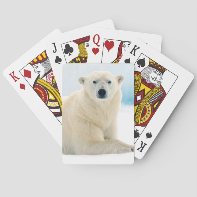 Jeu De Cartes Ours polaire adulte grand sanglier sur la glace es (dos)