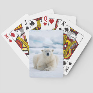 Jeu De Cartes Ours polaire adulte sur la banquise estivale