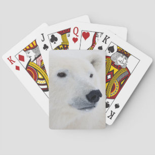 Jeu De Cartes Ours polaire Churchill