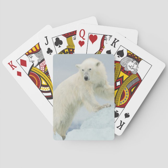 Jeu De Cartes Ours polaire en été (dos)