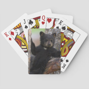 Jeu De Cartes Oursons de l'ours noir se reposant
