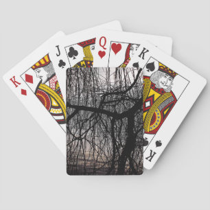 JEU DE CARTES OUVRIR DES ARBRES SAUVAGES