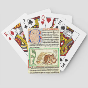 Jeu De Cartes Page lumineuse 1250