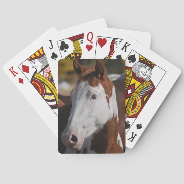 Jeu De Cartes Paint Horse Piebald Jouer aux cartes Western Ranch (dos)