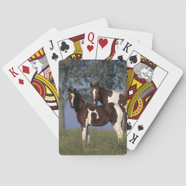 Jeu De Cartes Paint Mare & Foal (dos)