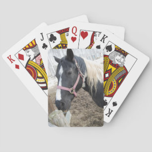 Jeu De Cartes Paint Pinto Horse