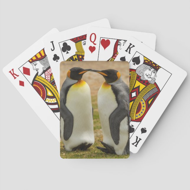 Jeu De Cartes Pair of King Penguins (dos)