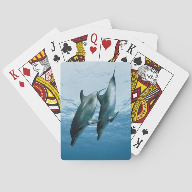Jeu De Cartes Paire de dauphins (dos)