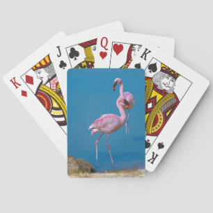 Jeu De Cartes Paire de Flamants roses roses Jouer des cartes