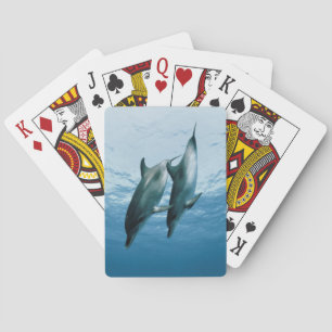 Jeu De Cartes Paires de dauphins