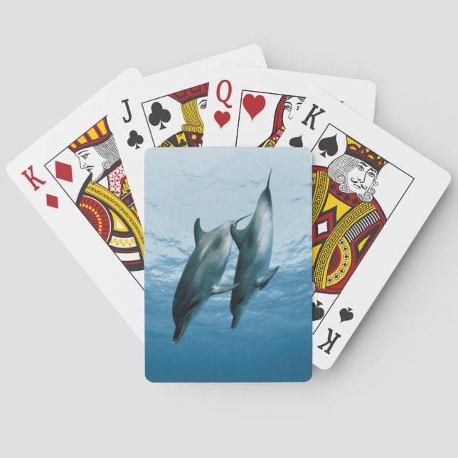 Jeu De Cartes Paires de dauphins (dos)