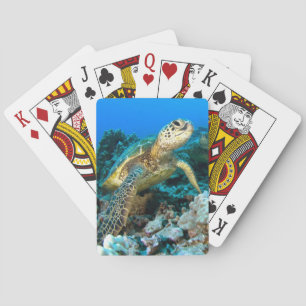 Jeu De Cartes Paires de tortue