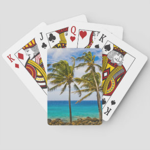 Jeu De Cartes Palmiers à noix de coco (Cocos nucifera) se balanç