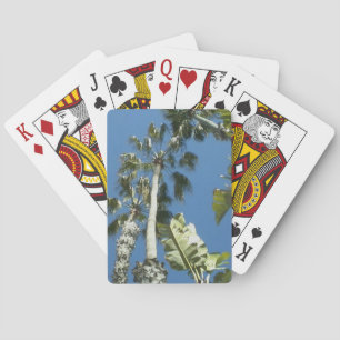 Jeu De Cartes Palmiers de Californie et cartes Blue Skies