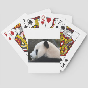 Jeu De Cartes Panda Bear Hugs