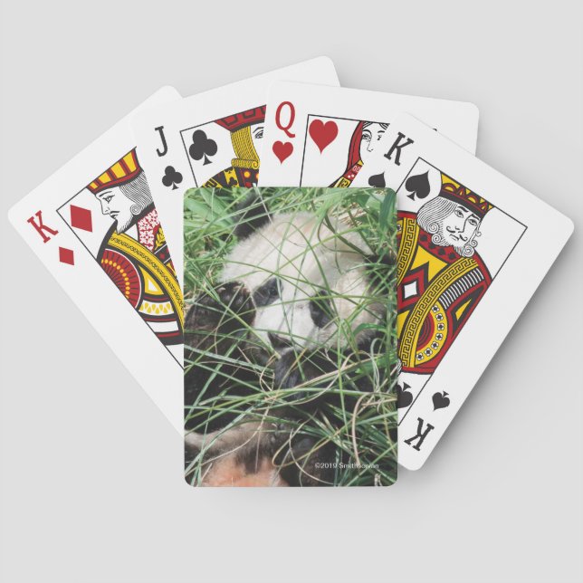 Jeu De Cartes Panda géant se cachant dans l'herbe (dos)