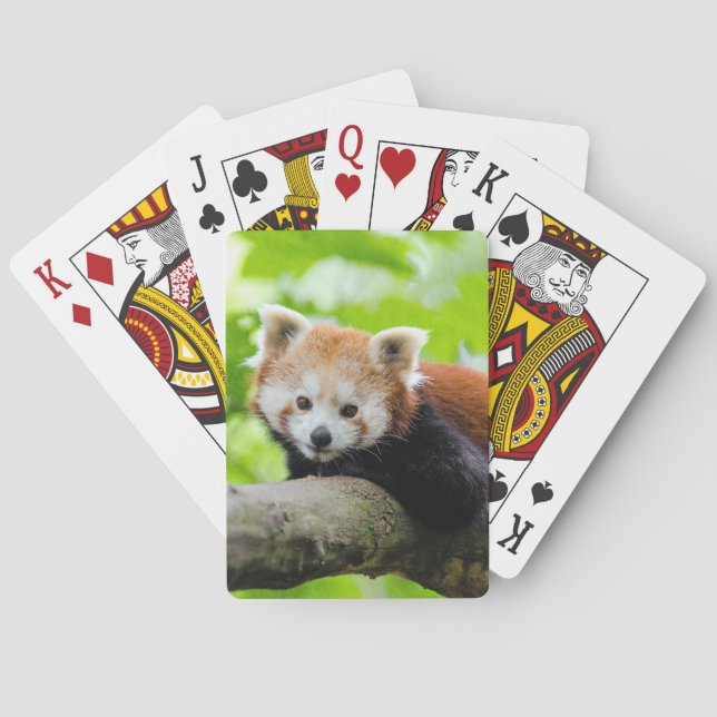 Jeu De Cartes Panda rouge (dos)