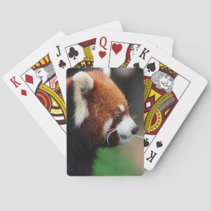 Jeu De Cartes Panda rouge